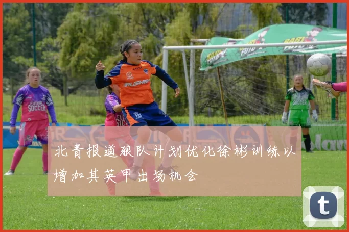 北青报道狼队计划优化徐彬训练以增加其英甲出场机会