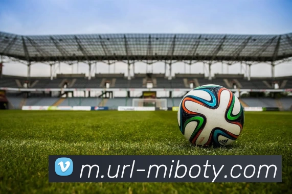 App Interface Preview