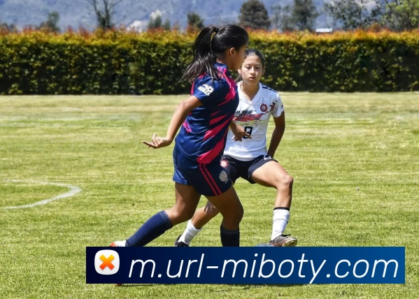 米博体育APP 封面图